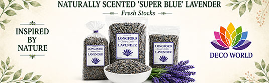ss_535_lavender-2026 (image for) ss_535_lavender-2026
